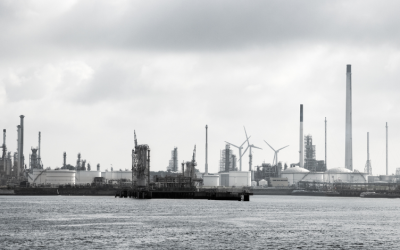 Implementation Of An Organization-Wide Power BI Solution For The Shipping Industry